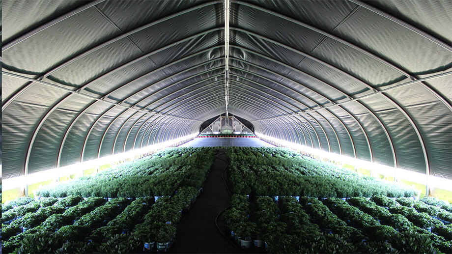 light-deprived greenhouse - HuiFa greenhouse